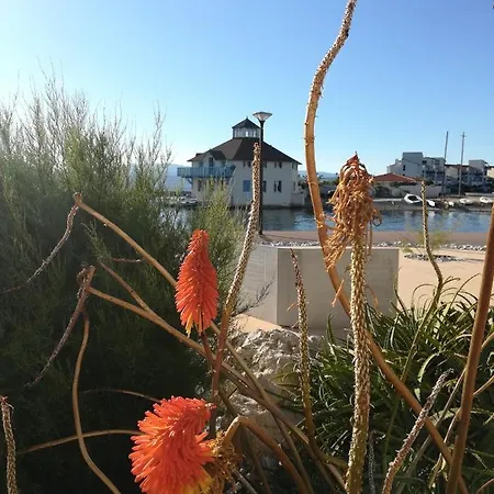 Appartement Cosy Sur La Presqu'Ile De Cap Coudalere Avec Terrasse, Piscines, Aire De Jeux D'Enfants, Parking, Commerces Et Animations Appartement *